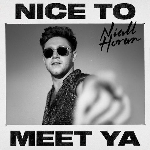 Niall Horan - Nice To Meet Ya